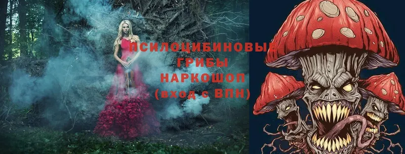 Галлюциногенные грибы Magic Shrooms  что такое   Йошкар-Ола 